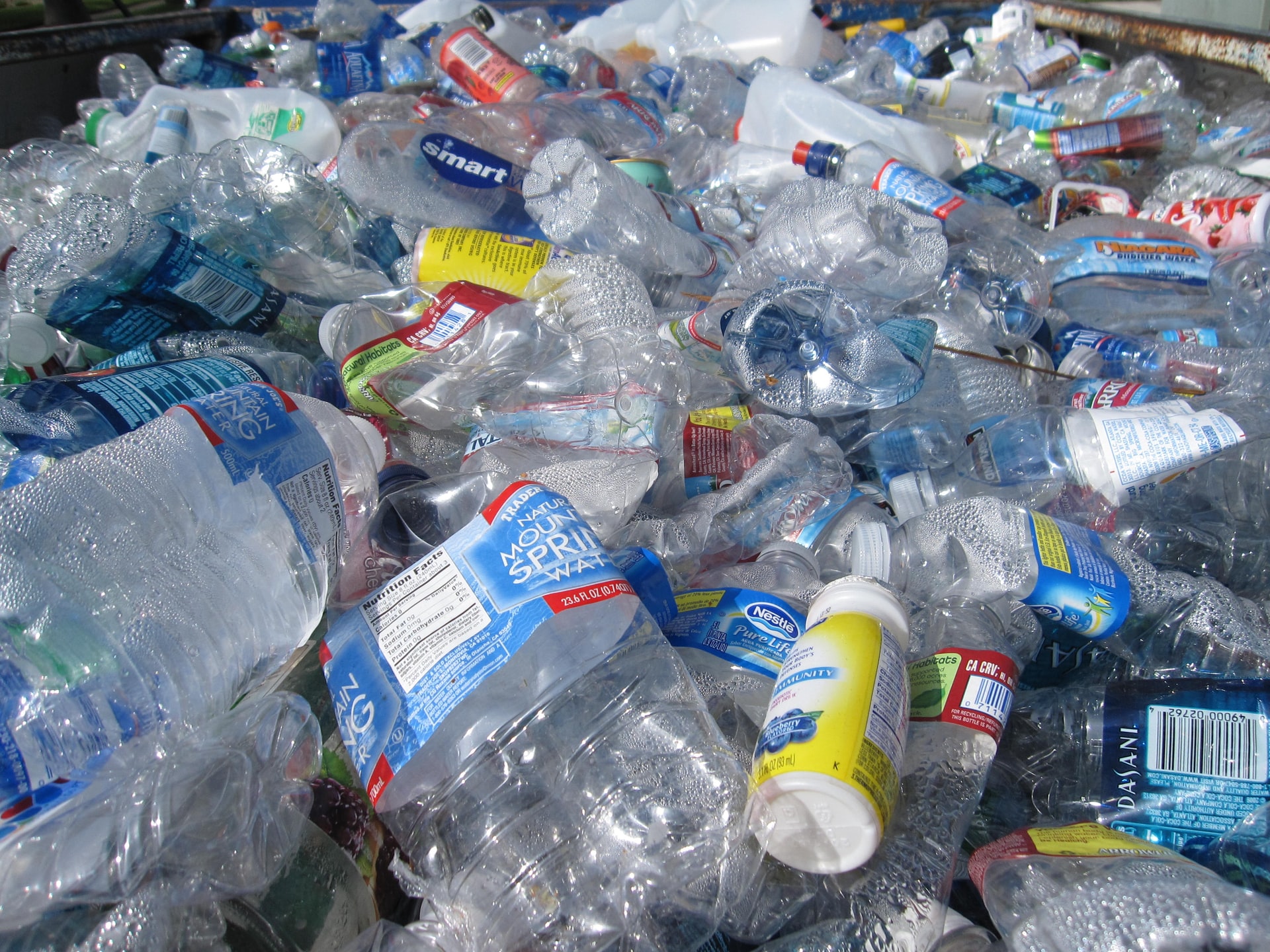 Butelka z recyklingu, czyli jak Buoy Bottle zachwyciła internautów